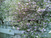 19042006(006)