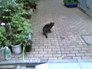 20060622(002)