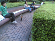 20060625(002)