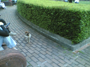20060625(003)