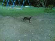 20060728(005)