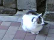20060730(001)