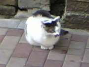 20060730(002)