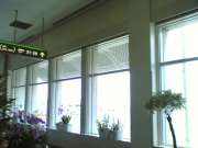 20060803(002)