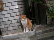 SANY0001