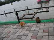 SANY0012