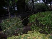 SANY0016