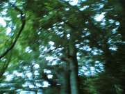 20060907(017)