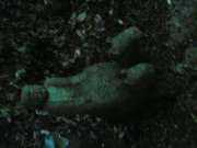 20060907(021)