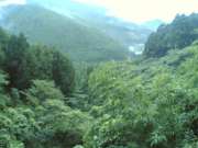 20060907(025)