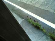 20060907(015)