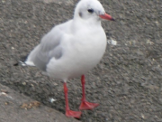 SANY0021 SANY0021