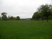 SANY0024