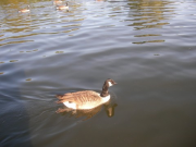 SANY0025 SANY0025
