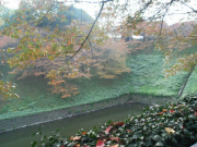 26112006162
