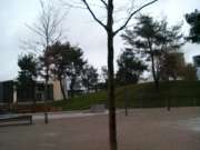 20070106120