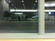 20070406Image008