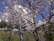 20070406Image015