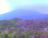 IMG00146 IMG00146