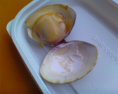 IMG00149 IMG00149
