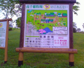 IMG00163 IMG00163