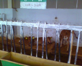 IMG00172 IMG00172