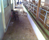 IMG00186 IMG00186