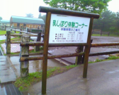 IMG00178 IMG00178