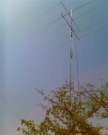 IMG00315 IMG00315