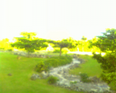 IMG00492 IMG00492