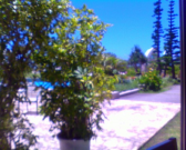 IMG00509 IMG00509