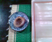 IMG00698