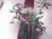 IMG00736 IMG00736