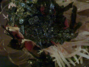 DSC00031 DSC00031