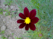 DSC00105
