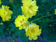DSC00104 DSC00104