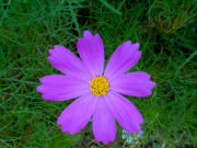 DSC00106