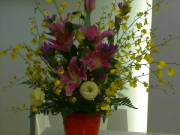 DSC00109