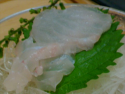 DSC00117