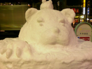 200801251743_746