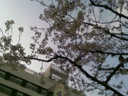 200804031622_221 200804031622_221