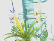 200805011203_019 200805011203_019