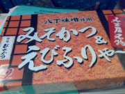 20080523294