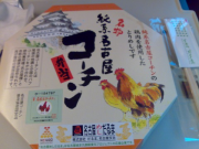 20080524299