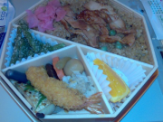 20080524300