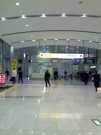 20080524302