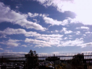 20081130SHP_0017