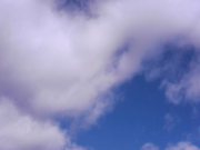 20081130SHP_0018