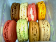 20090307254 20090307254