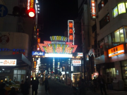 20090331055